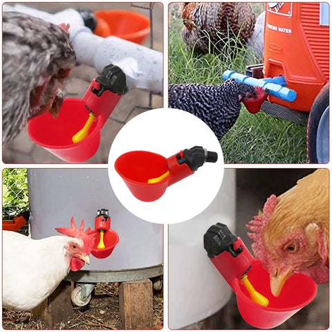 Automatic Chicken Quail Hanging Water Cups - Improve Center