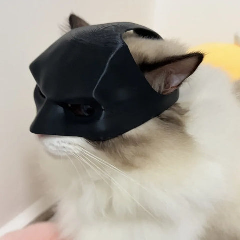 Batman Cat Mask - Improve Center