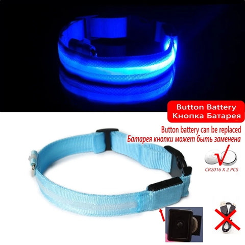 Led Dog Collar - Improve Center