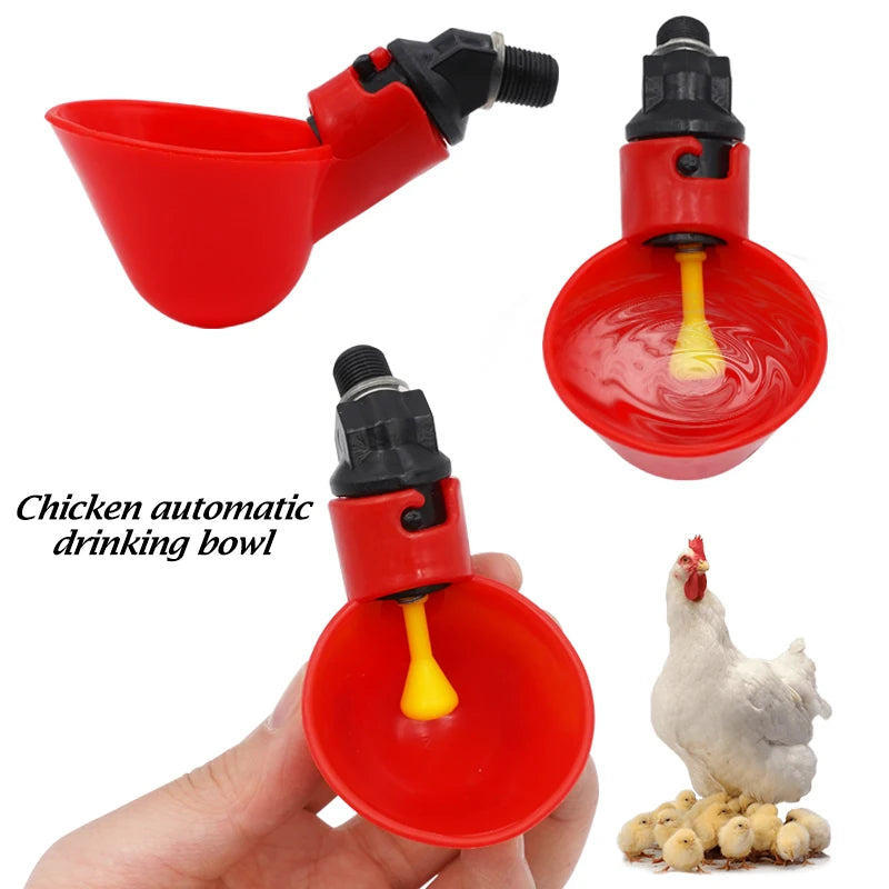 Automatic Chicken Quail Hanging Water Cups