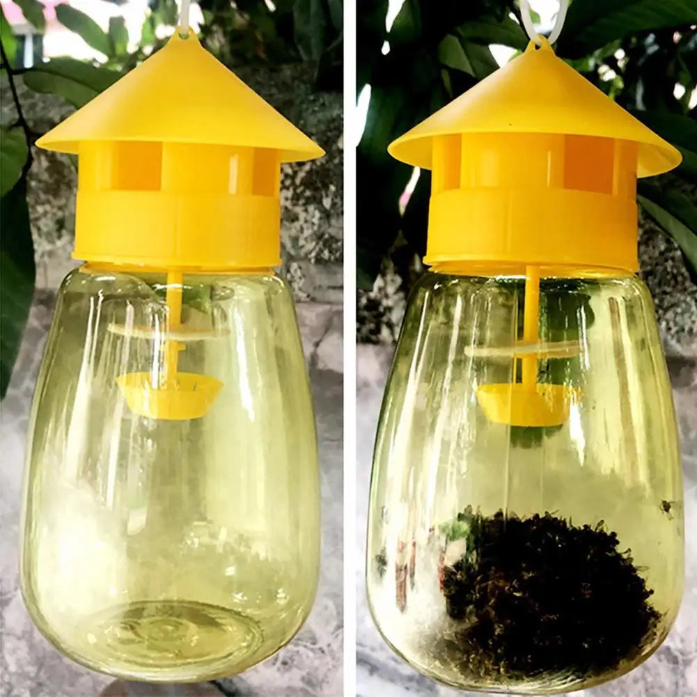 Fruit Fly Trap