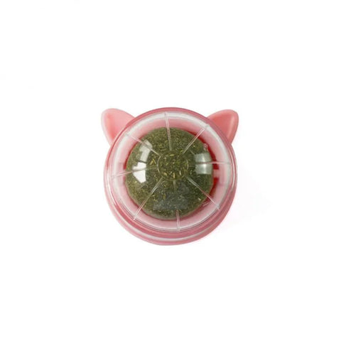 Cat Wall Ball Toy Treats - Improve Center