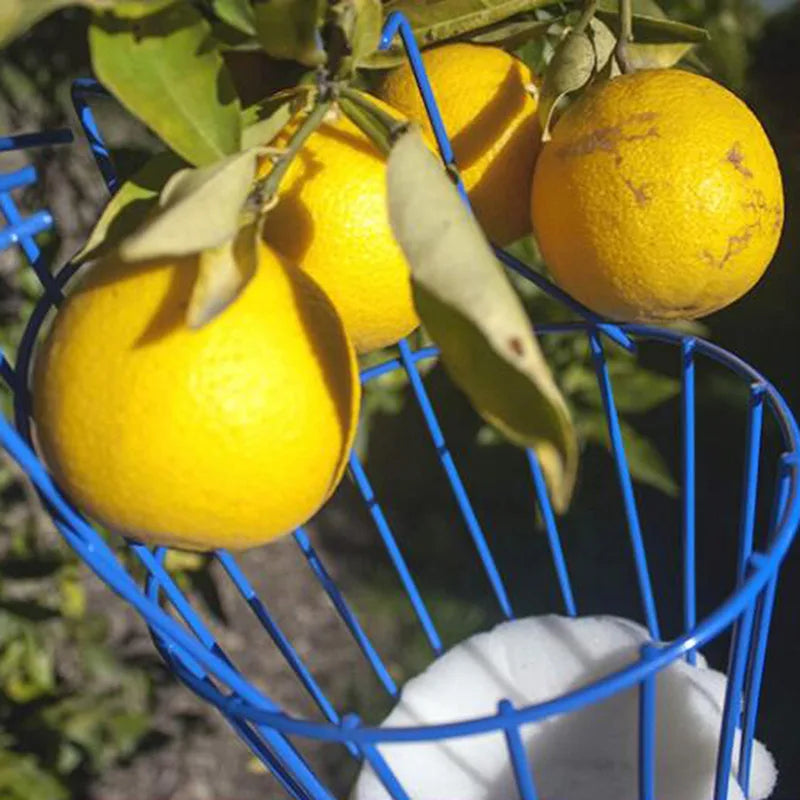 Fruit Picker