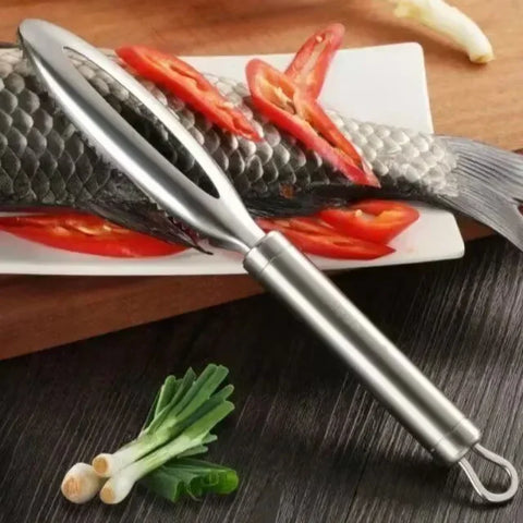 Fish Scales Scraping