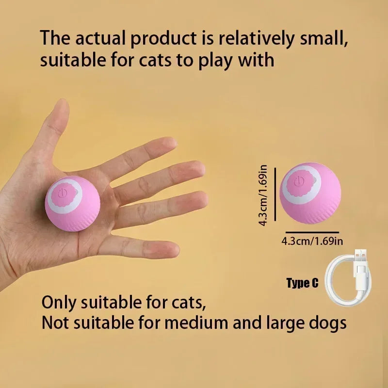 Cat Auto Rolling Ball With Tail