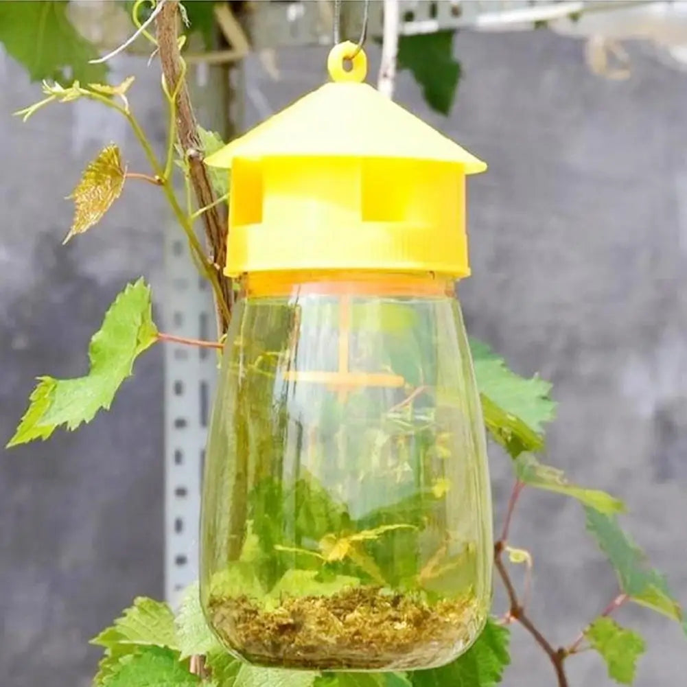 Fruit Fly Trap