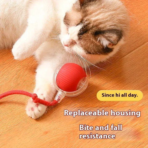 Cat Auto Rolling Ball With Tail - Improve Center