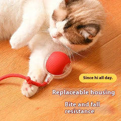 Cat Auto Rolling Ball With Tail