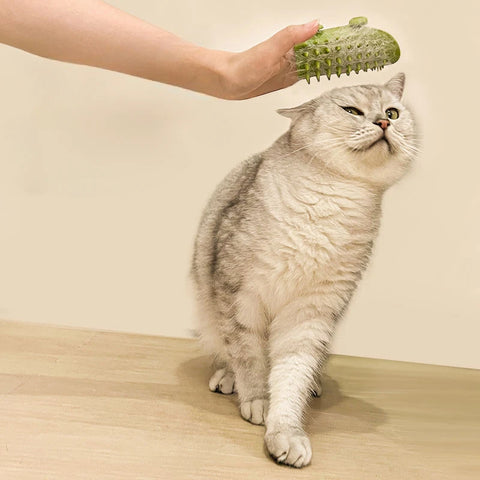 Pet Hair Massage Comb - Improve Center