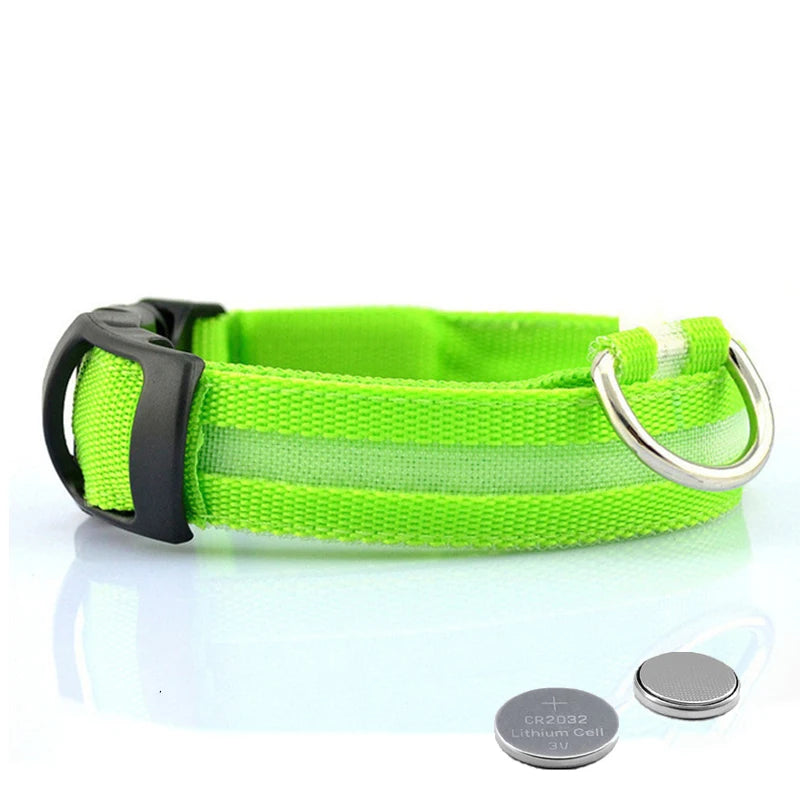 Led Dog Collar - Improve Center