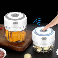 250ml Electric Garlic Chopper Meat Grinder