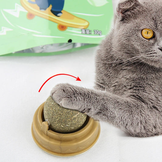 Cat Wall Ball Toy Treats - Improve Center