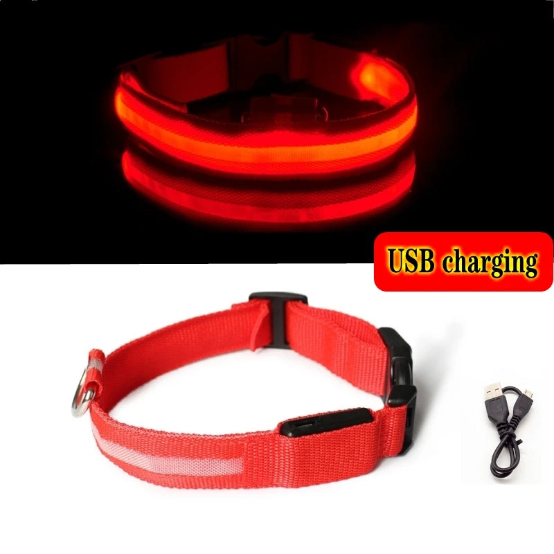 Led Dog Collar - Improve Center