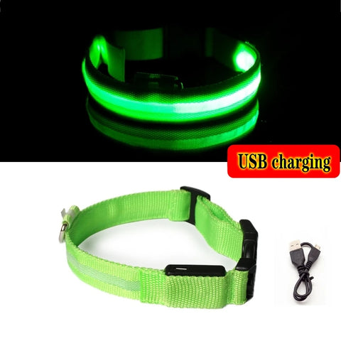 Led Dog Collar - Improve Center