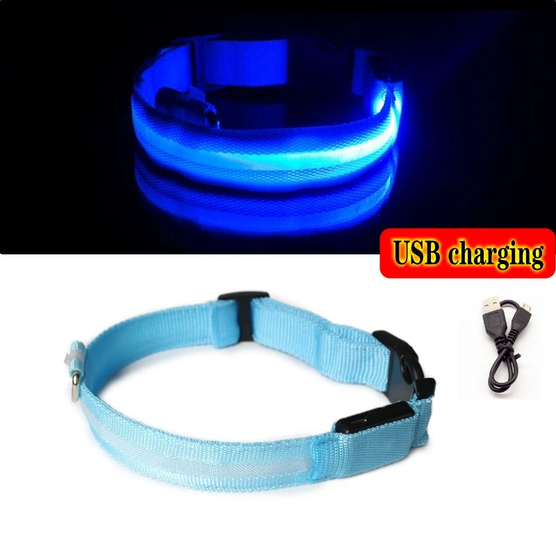 Led Dog Collar - Improve Center