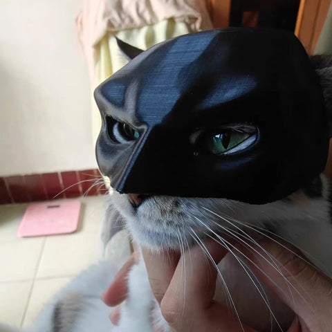 Batman Cat Mask - Improve Center