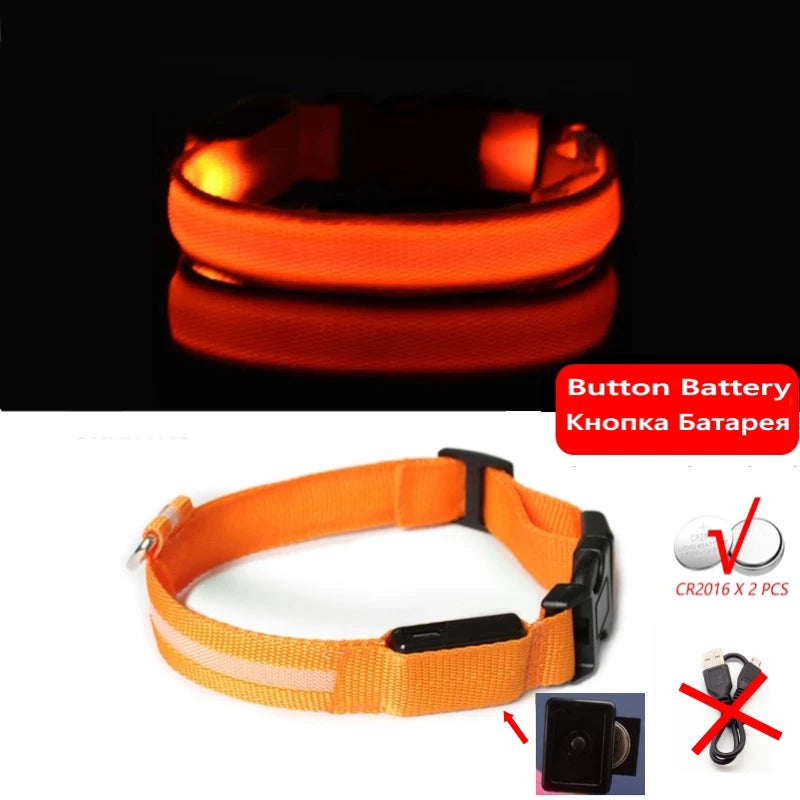 Led Dog Collar - Improve Center