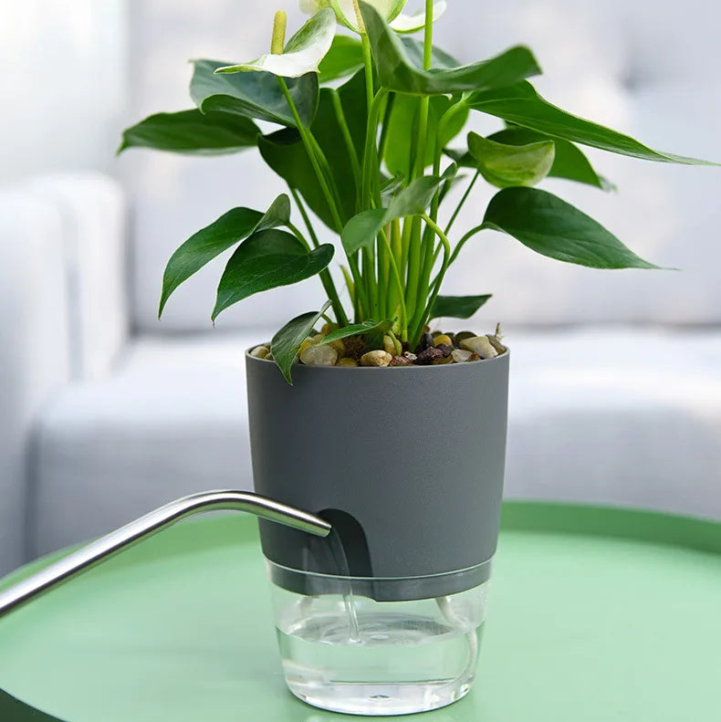 Self-Watering Flower Pot