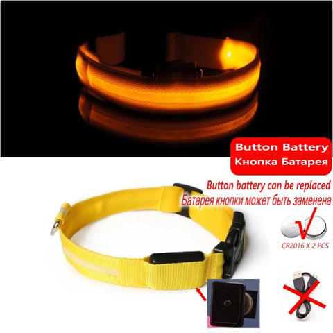 Led Dog Collar - Improve Center