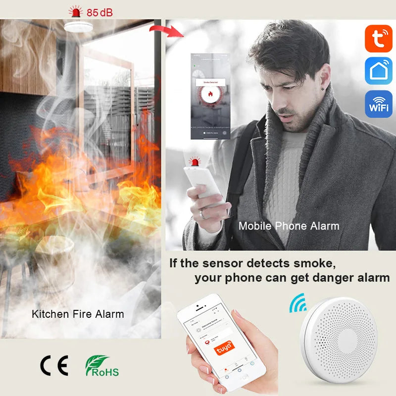 Fire PIR Sound Sensor Alert