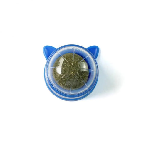 Cat Wall Ball Toy Treats - Improve Center