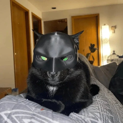 Cat Avenger Mask