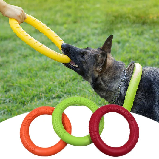 Pet Flying Disk Training Ring - Improve Center