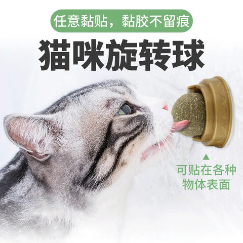 Cat Wall Ball Toy Treats - Improve Center