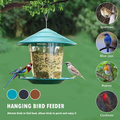 Outdoor Bird Feeder with Multiple Holes