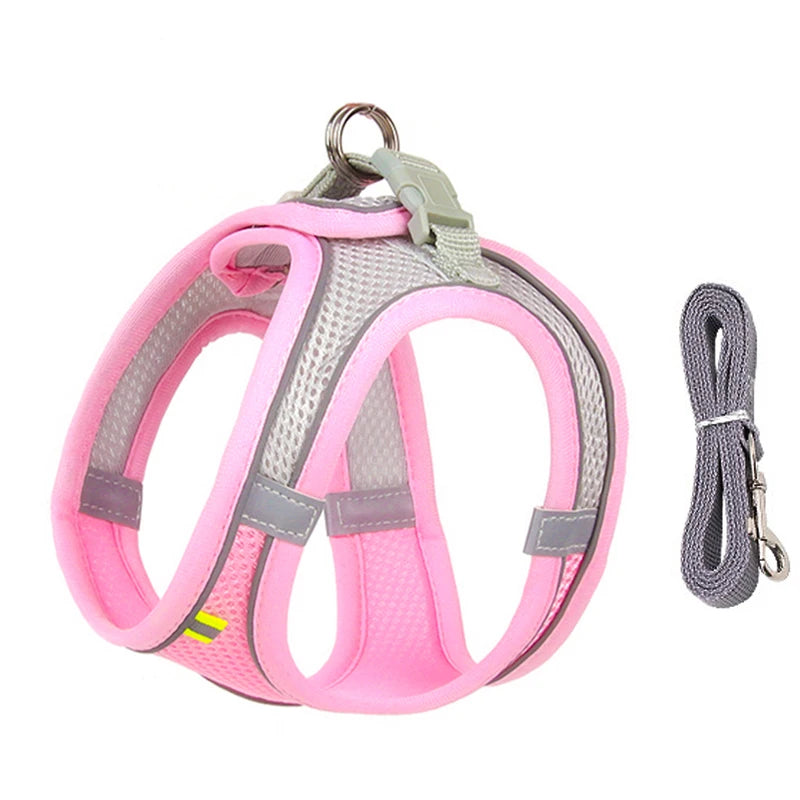 Dog Harness Leash Set - Improve Center