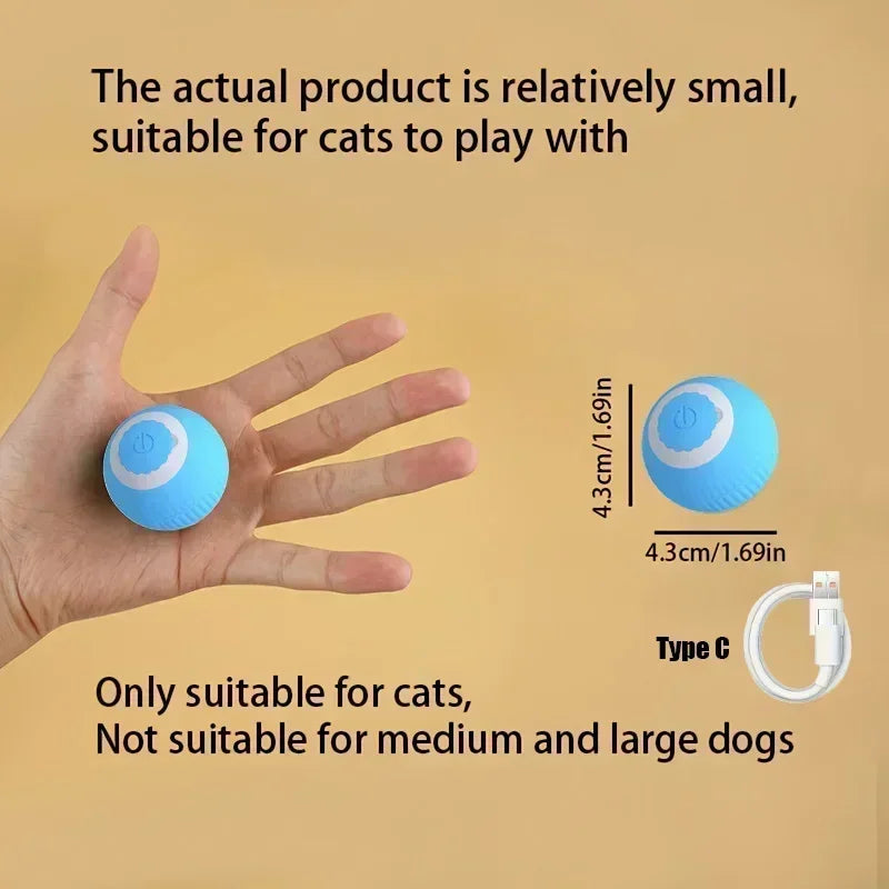 Cat Auto Rolling Ball With Tail