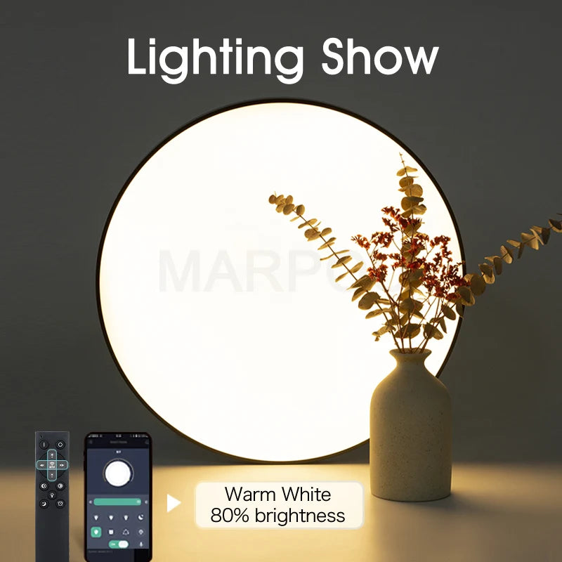 New Smart ceiling lamp