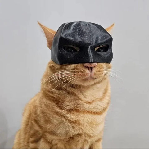 Batman Cat Mask - Improve Center