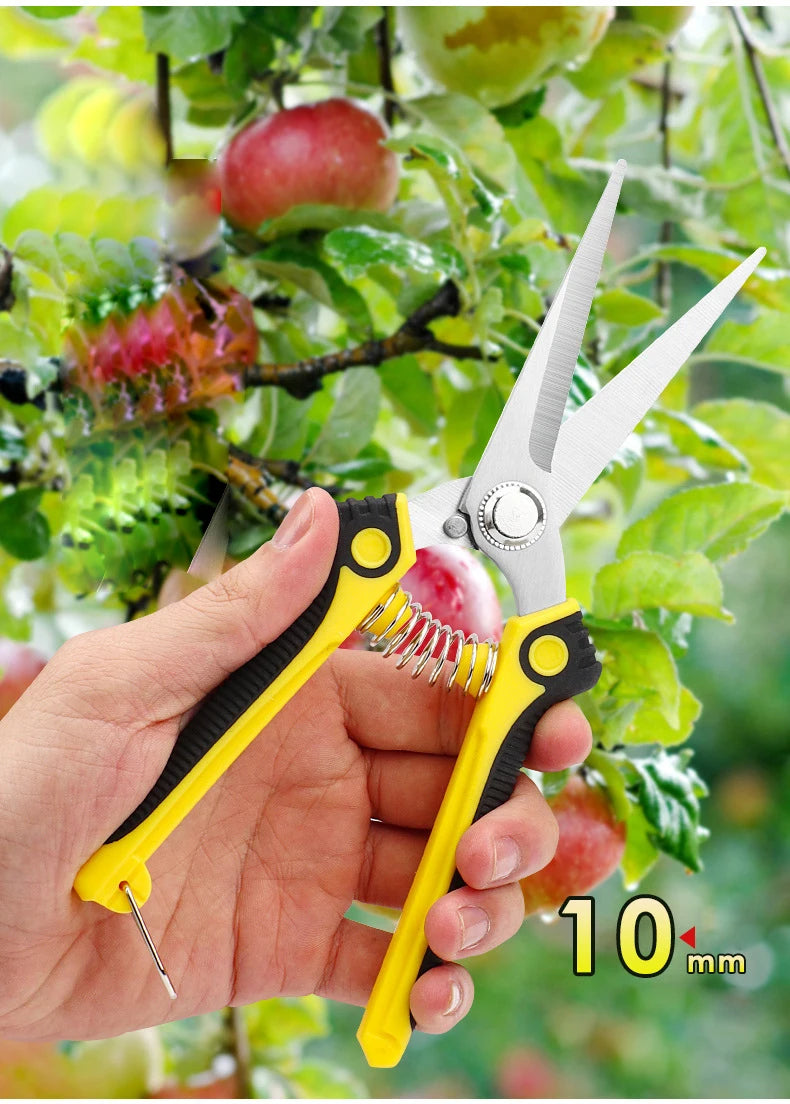 Garden Scissors