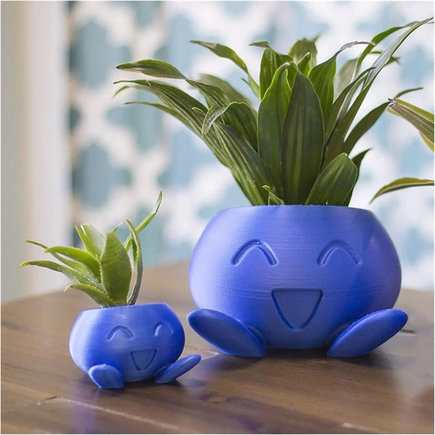 Unique Plant Pot