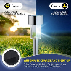 Solar Powered Pathway Light