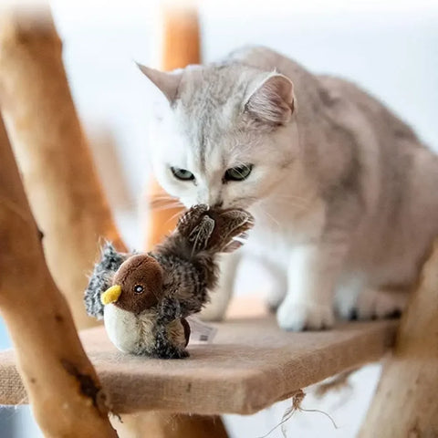 Flapping Bird Cat Toy - Improve Center