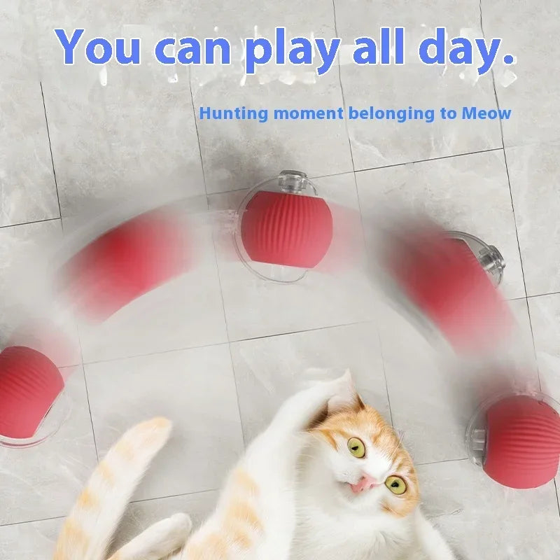 Cat Auto Rolling Ball With Tail - Improve Center