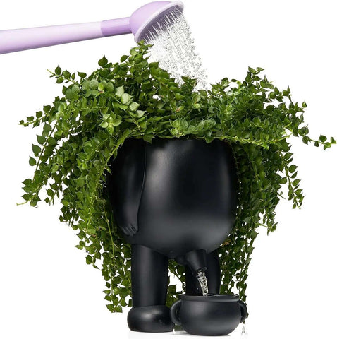 HumorPot Planter - Improve Center