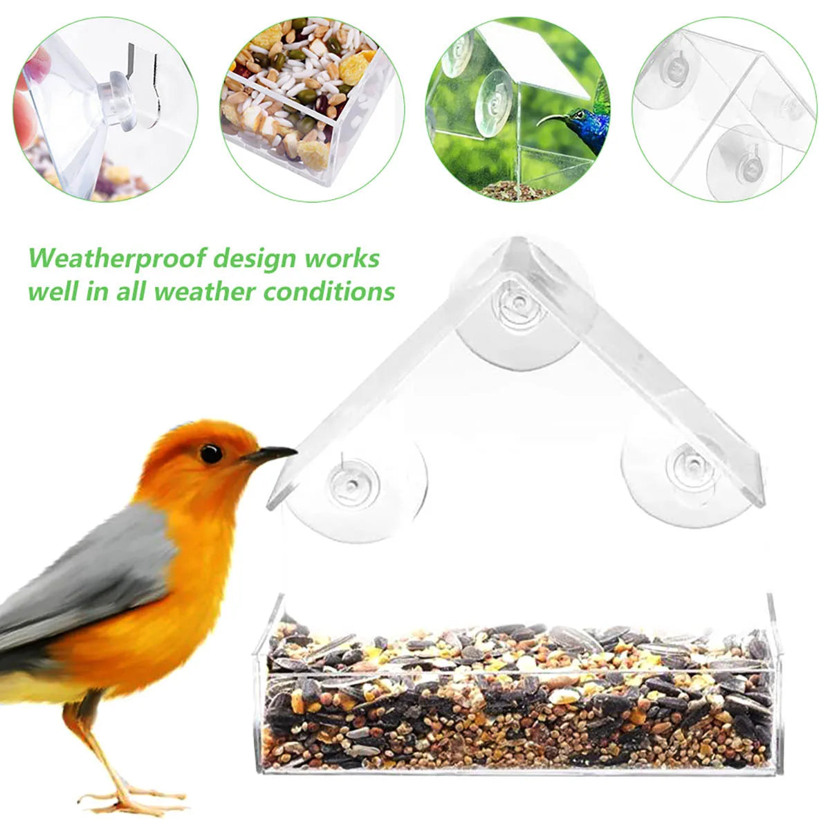 House Shape Bird Feeder