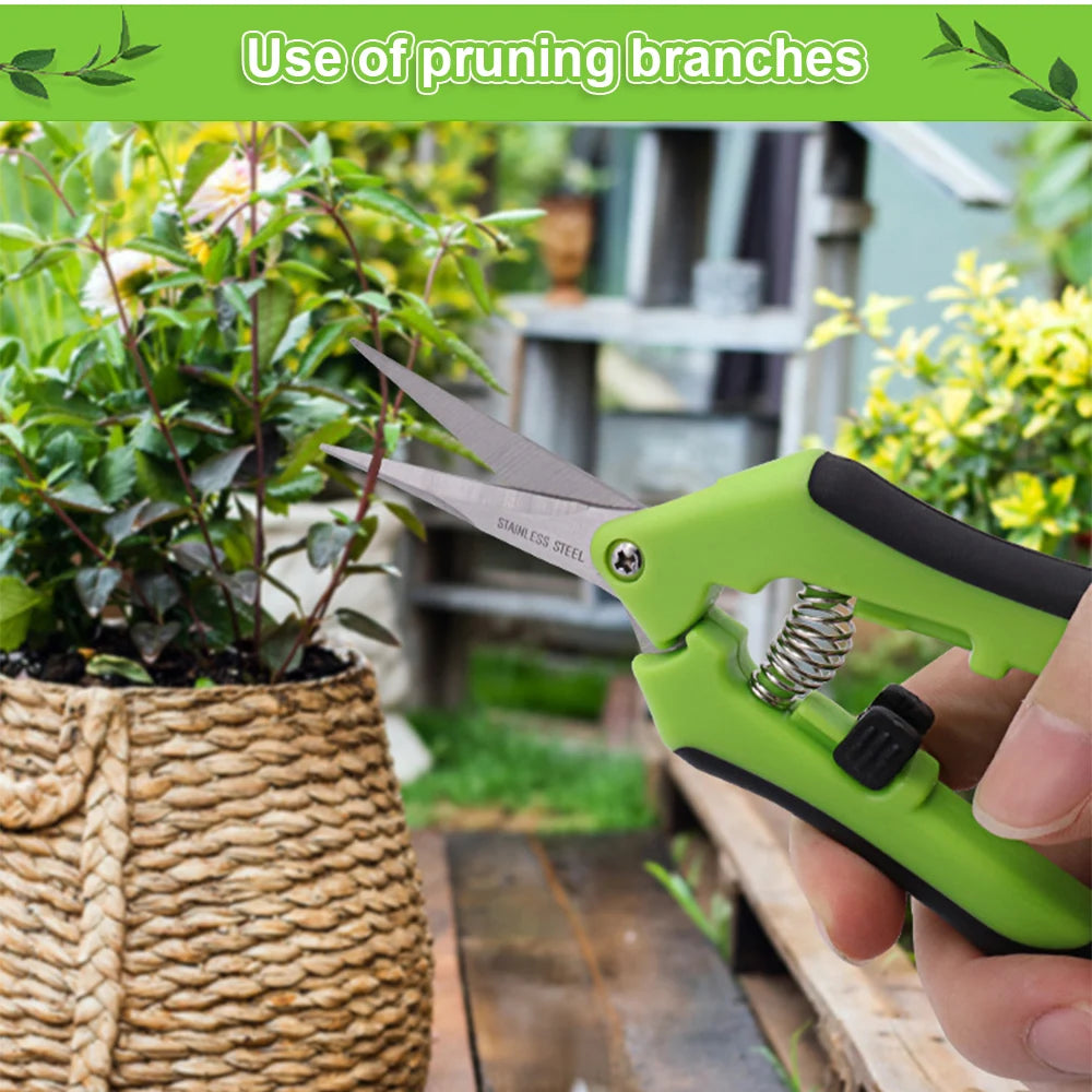 Pruning Shears - Improve Center