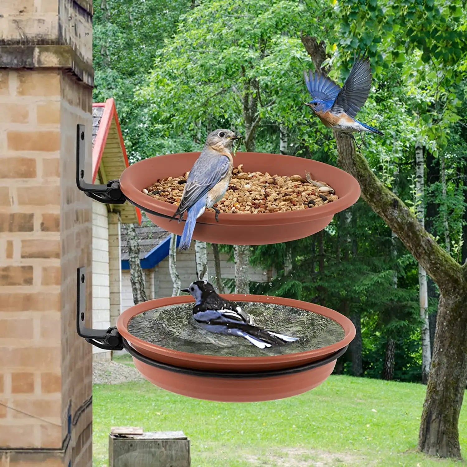 Tree-Mounted Bird Bath