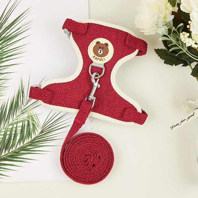 Newest Cute Rabbit Harness and Leash Set - Improve Center