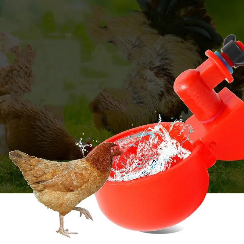 Chicken Drinking Cup