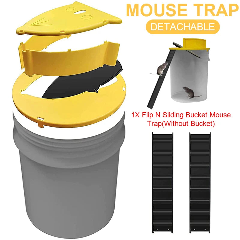 Automatic Mouse Trap