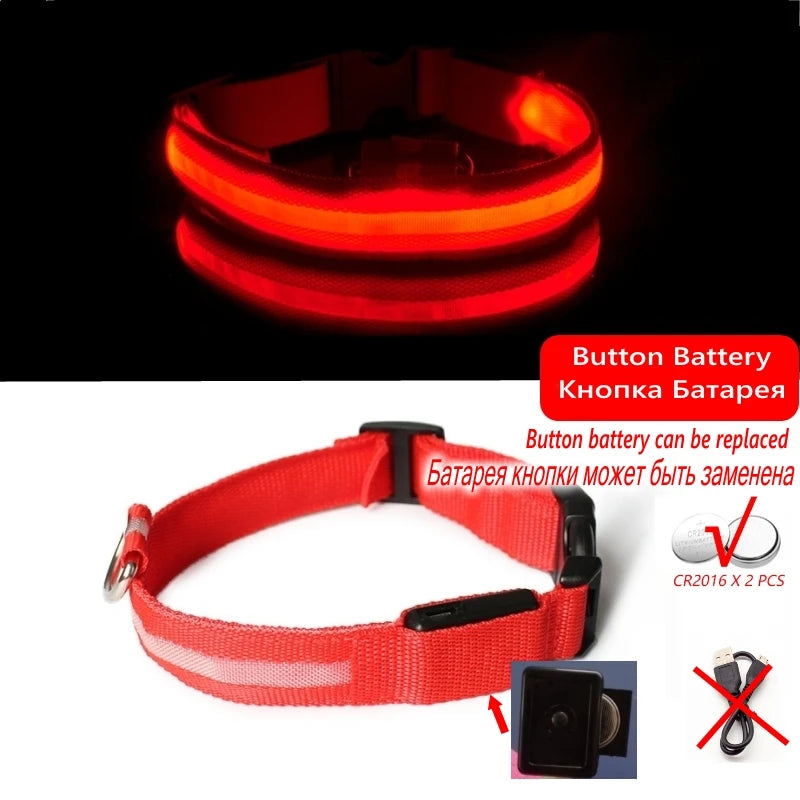 Led Dog Collar - Improve Center